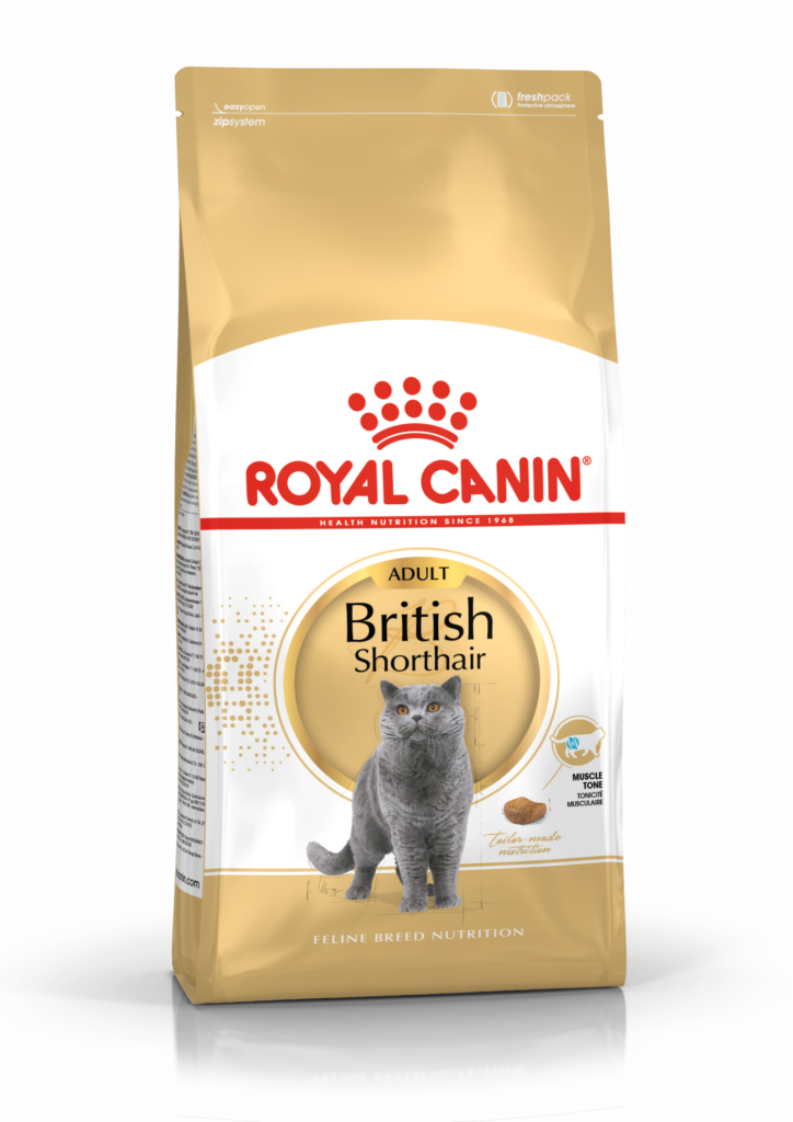 ROYAL CANIN gato bag