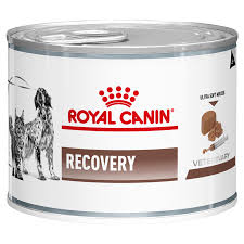 ROYAL CANIN perro o gato - recovery can