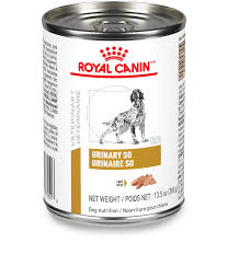 ROYAL CANIN perro urinary can